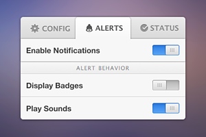 Settings Widget UI